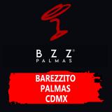 BAREZZITO PALMAS